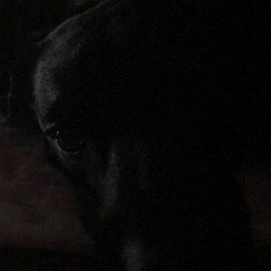 Meet your Posher, Vicki